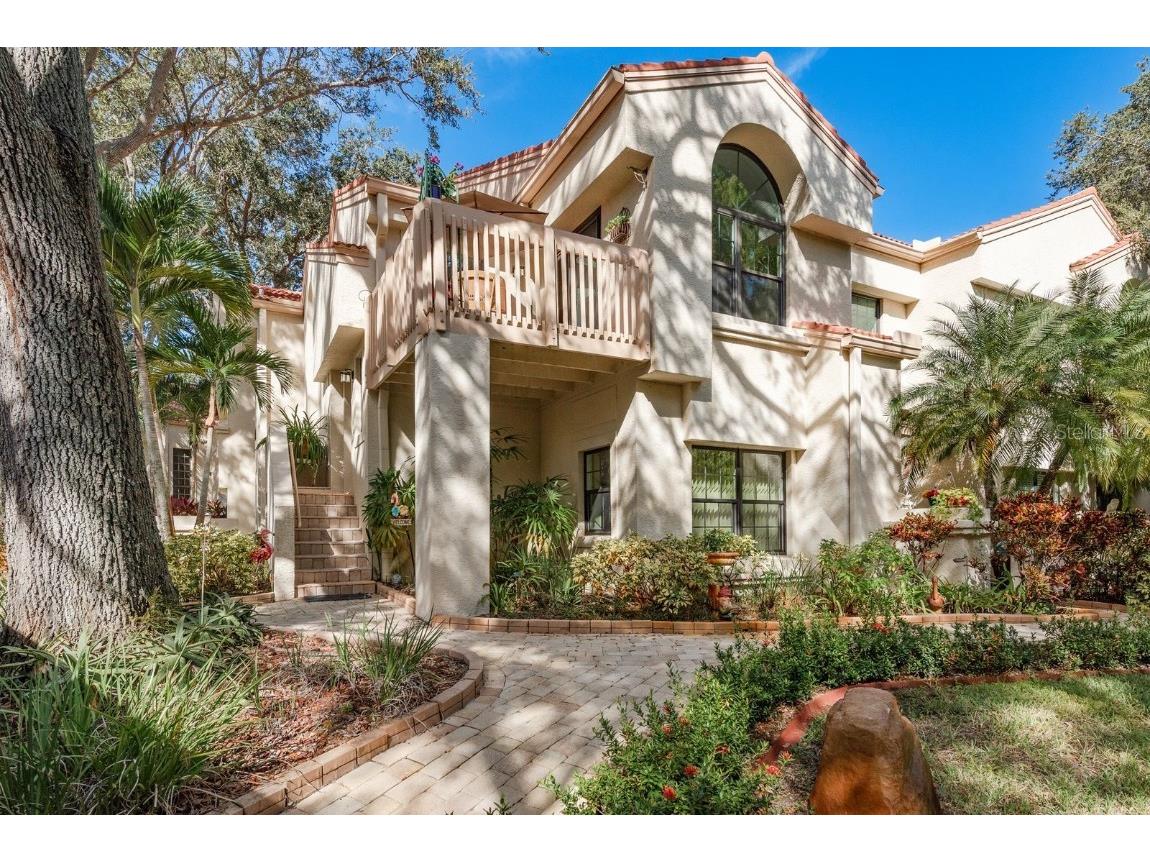 334 Los Prados Drive #421 Safety Harbor FL 34695 TB8433246 image1