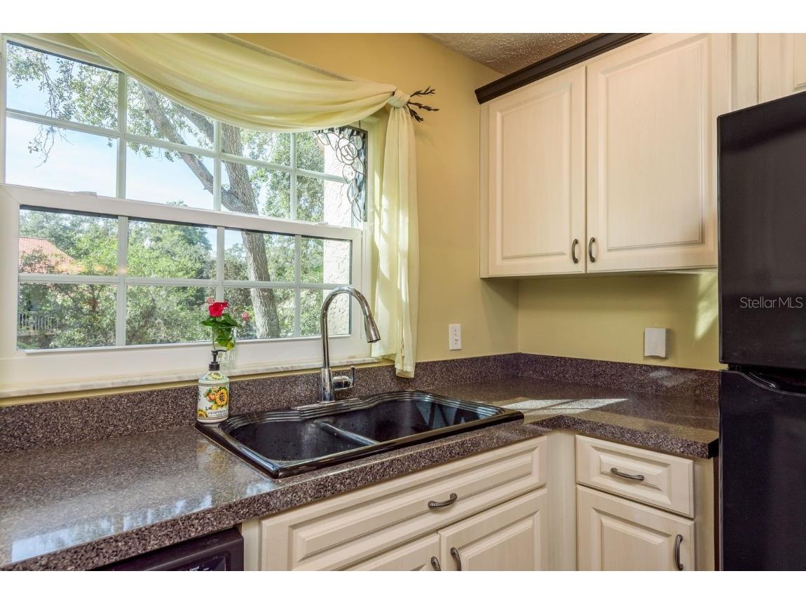 334 Los Prados Drive #421 Safety Harbor FL 34695 TB8433246 image15