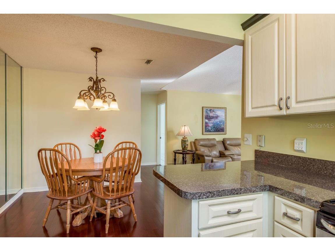 334 Los Prados Drive #421 Safety Harbor FL 34695 TB8433246 image16