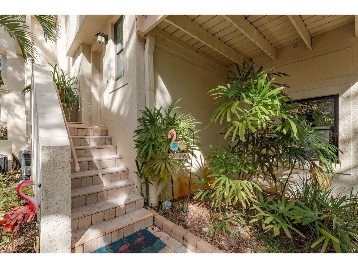 334 Los Prados Drive #421 Safety Harbor FL 34695 TB8433246 image2