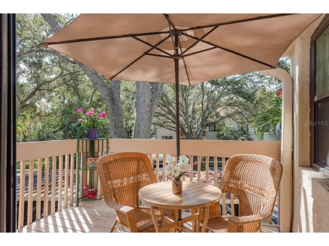 334 Los Prados Drive #421 Safety Harbor FL 34695 TB8433246 image25