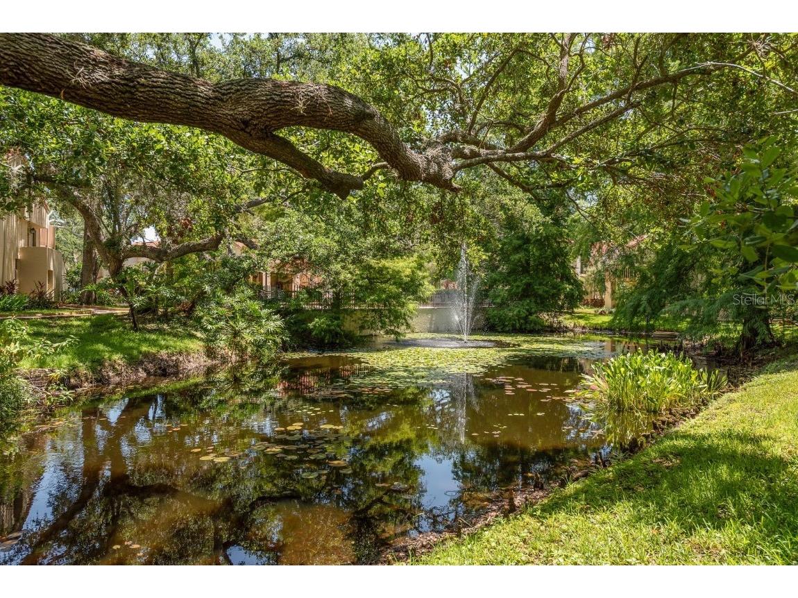 334 Los Prados Drive #421 Safety Harbor FL 34695 TB8433246 image27