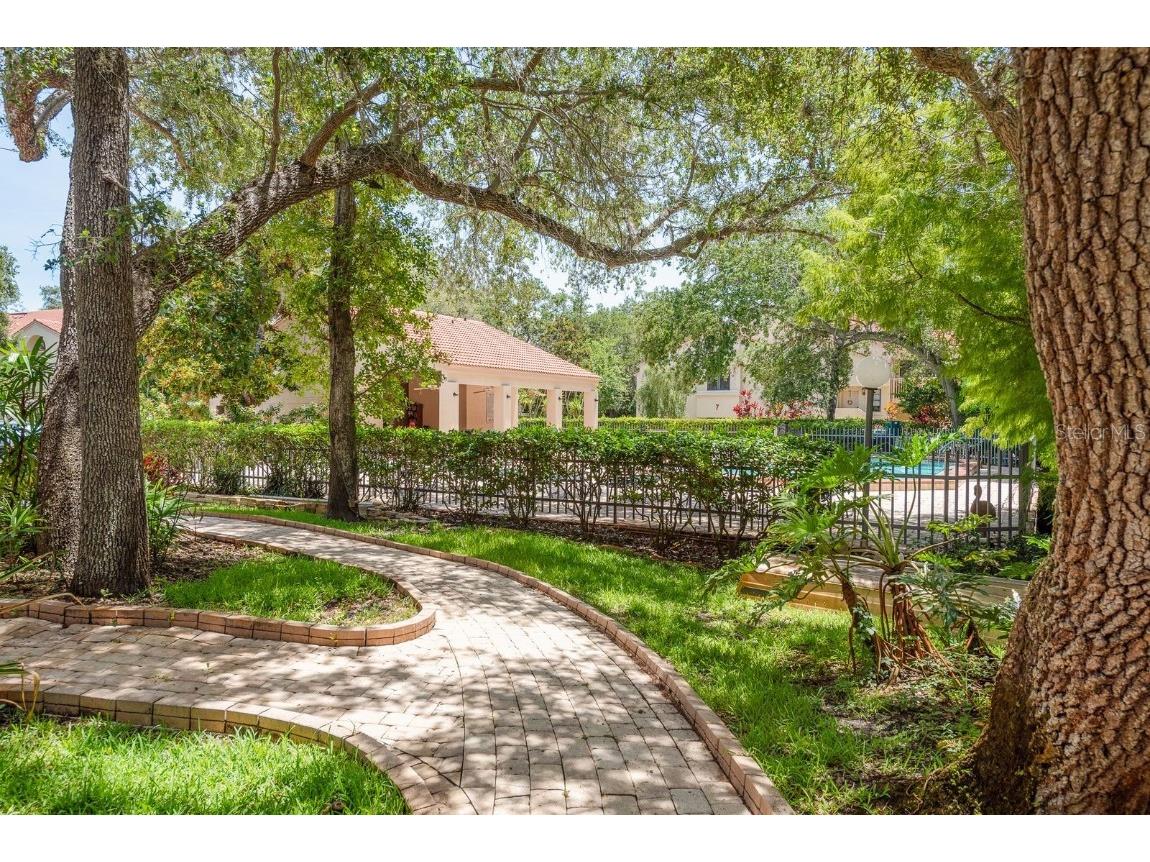 334 Los Prados Drive #421 Safety Harbor FL 34695 TB8433246 image28