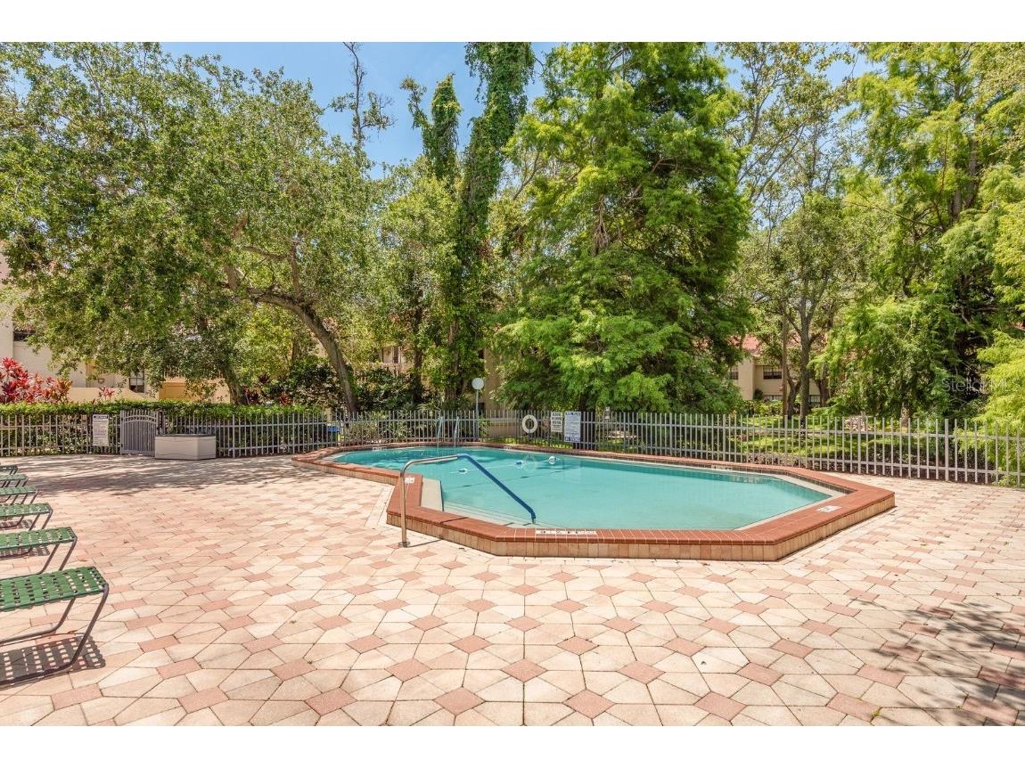 334 Los Prados Drive #421 Safety Harbor FL 34695 TB8433246 image29