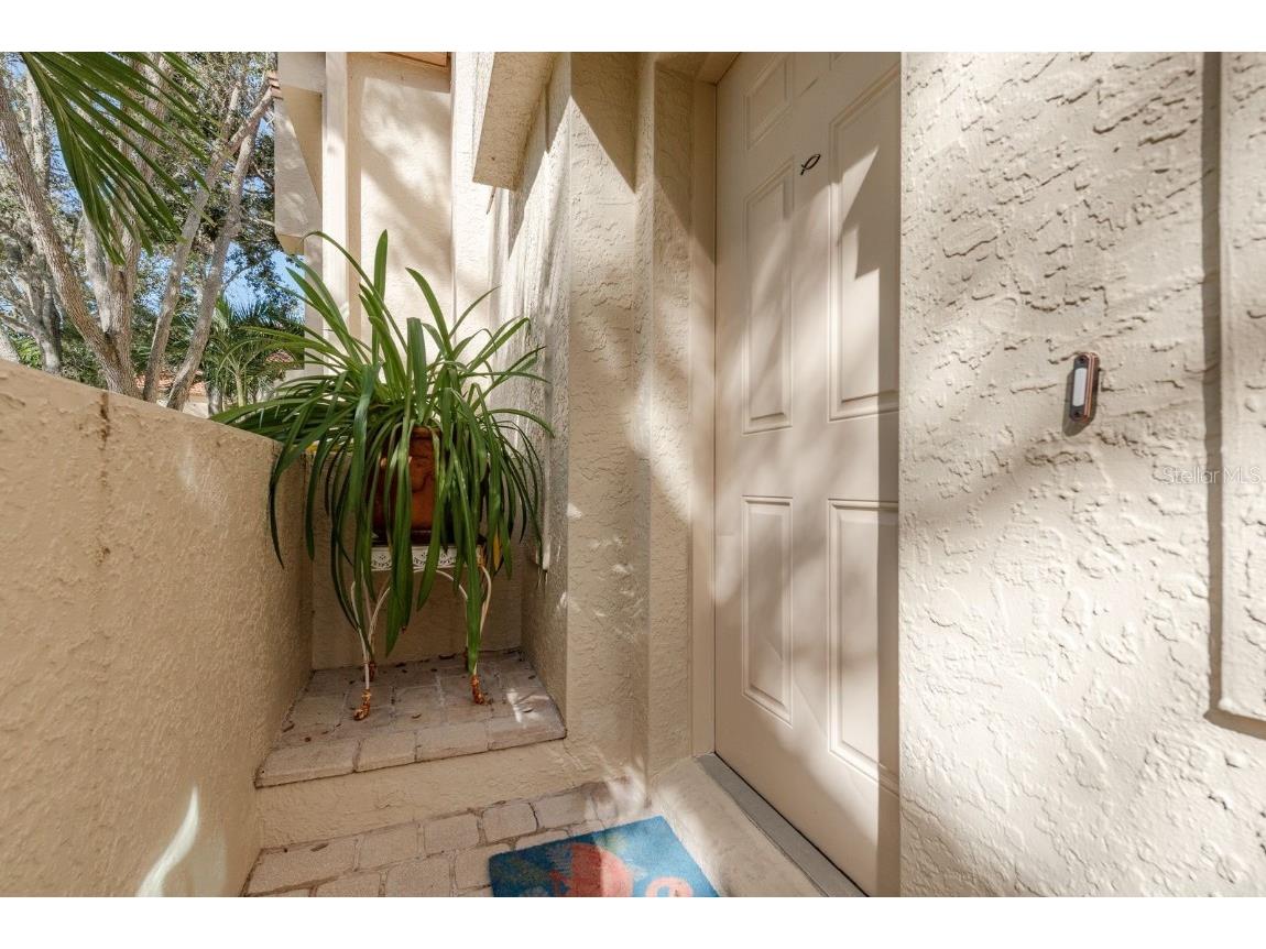 334 Los Prados Drive #421 Safety Harbor FL 34695 TB8433246 image3