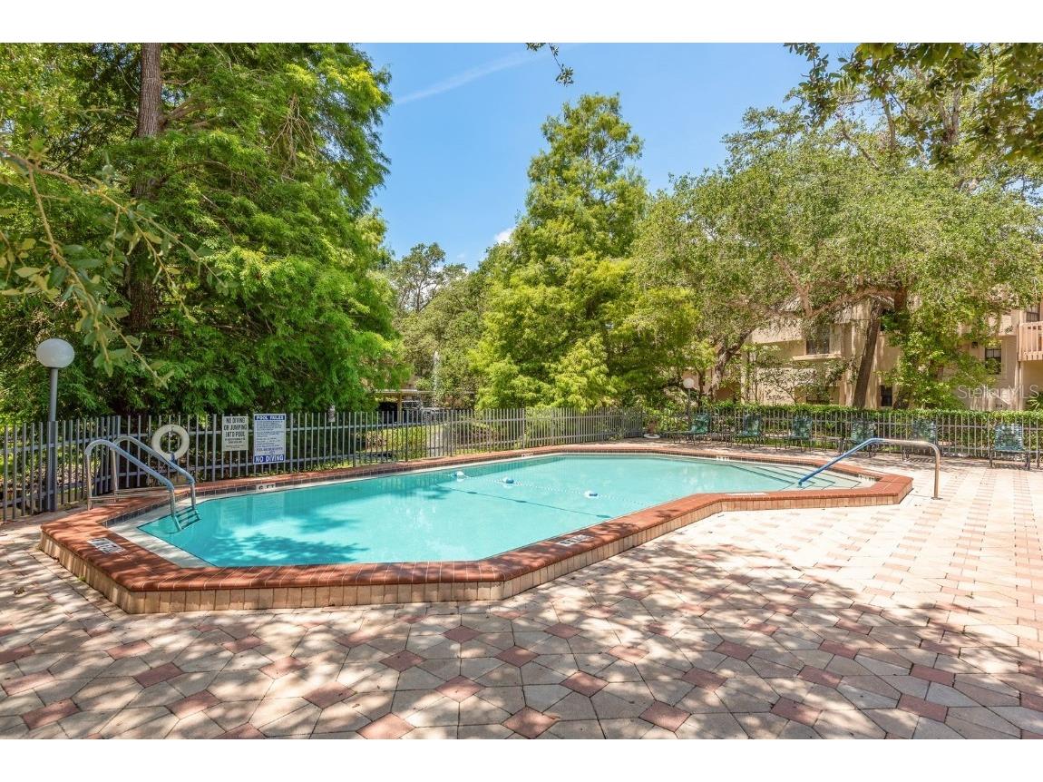 334 Los Prados Drive #421 Safety Harbor FL 34695 TB8433246 image30