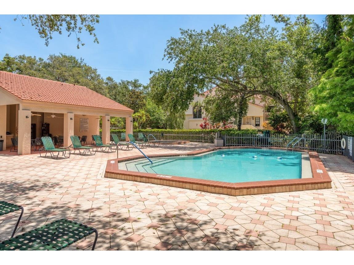 334 Los Prados Drive #421 Safety Harbor FL 34695 TB8433246 image32