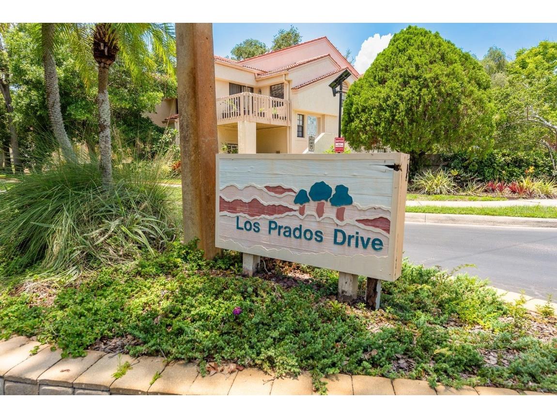 334 Los Prados Drive #421 Safety Harbor FL 34695 TB8433246 image34