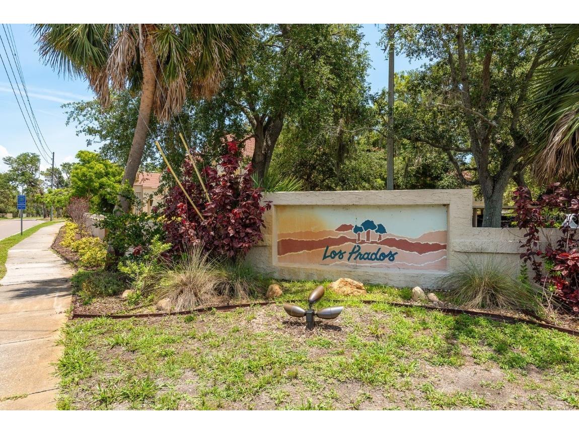 334 Los Prados Drive #421 Safety Harbor FL 34695 TB8433246 image35