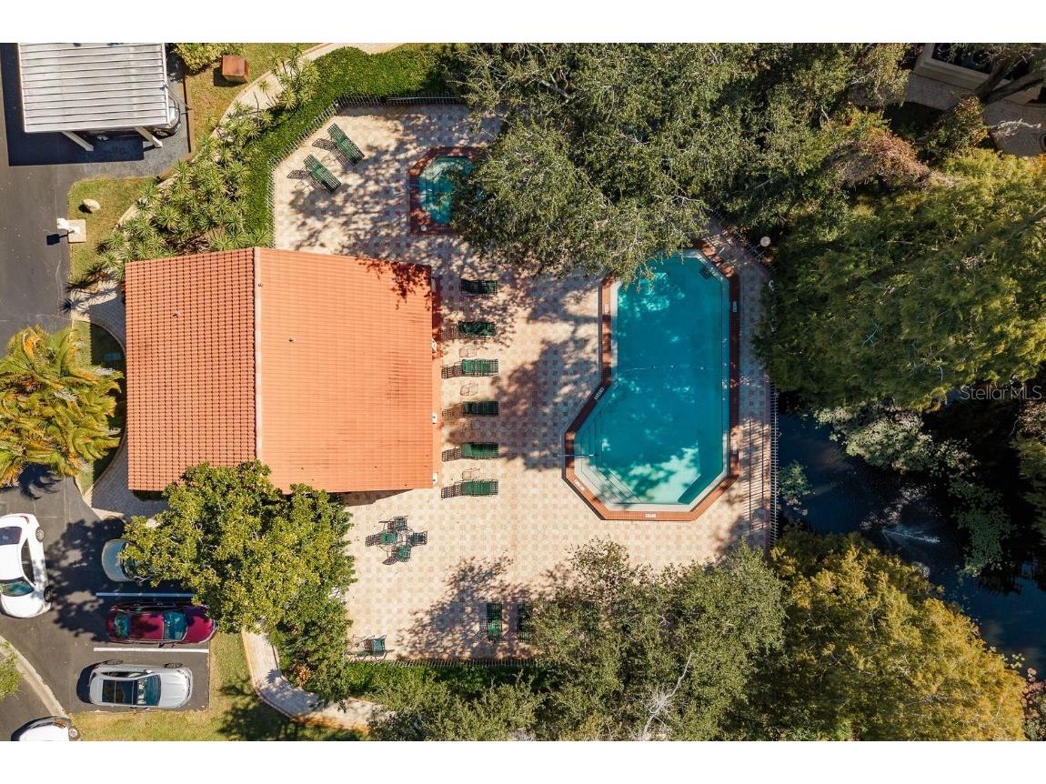 334 Los Prados Drive #421 Safety Harbor FL 34695 TB8433246 image38