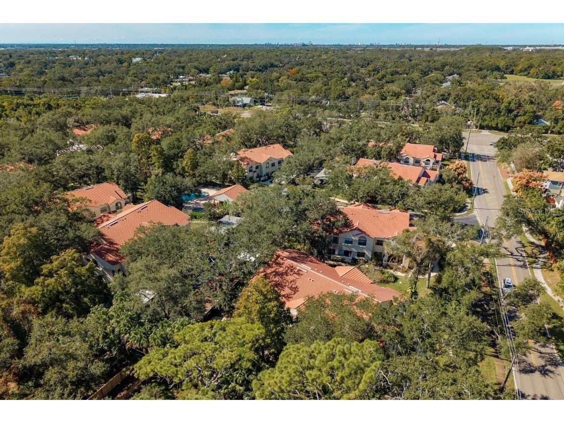 334 Los Prados Drive #421 Safety Harbor FL 34695 TB8433246 image39