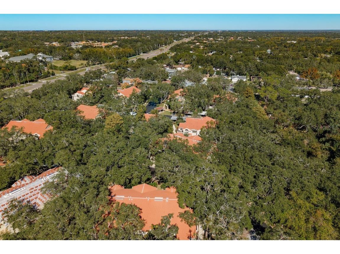 334 Los Prados Drive #421 Safety Harbor FL 34695 TB8433246 image40