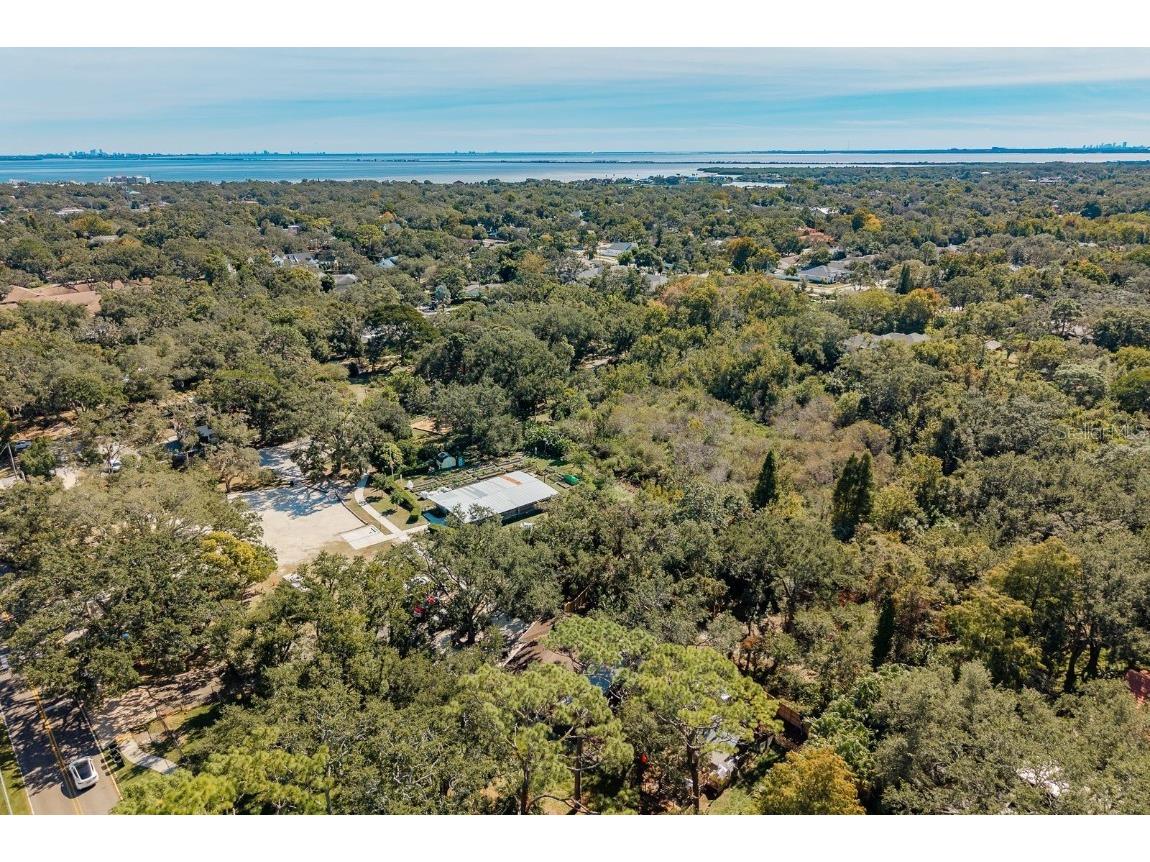 334 Los Prados Drive #421 Safety Harbor FL 34695 TB8433246 image41