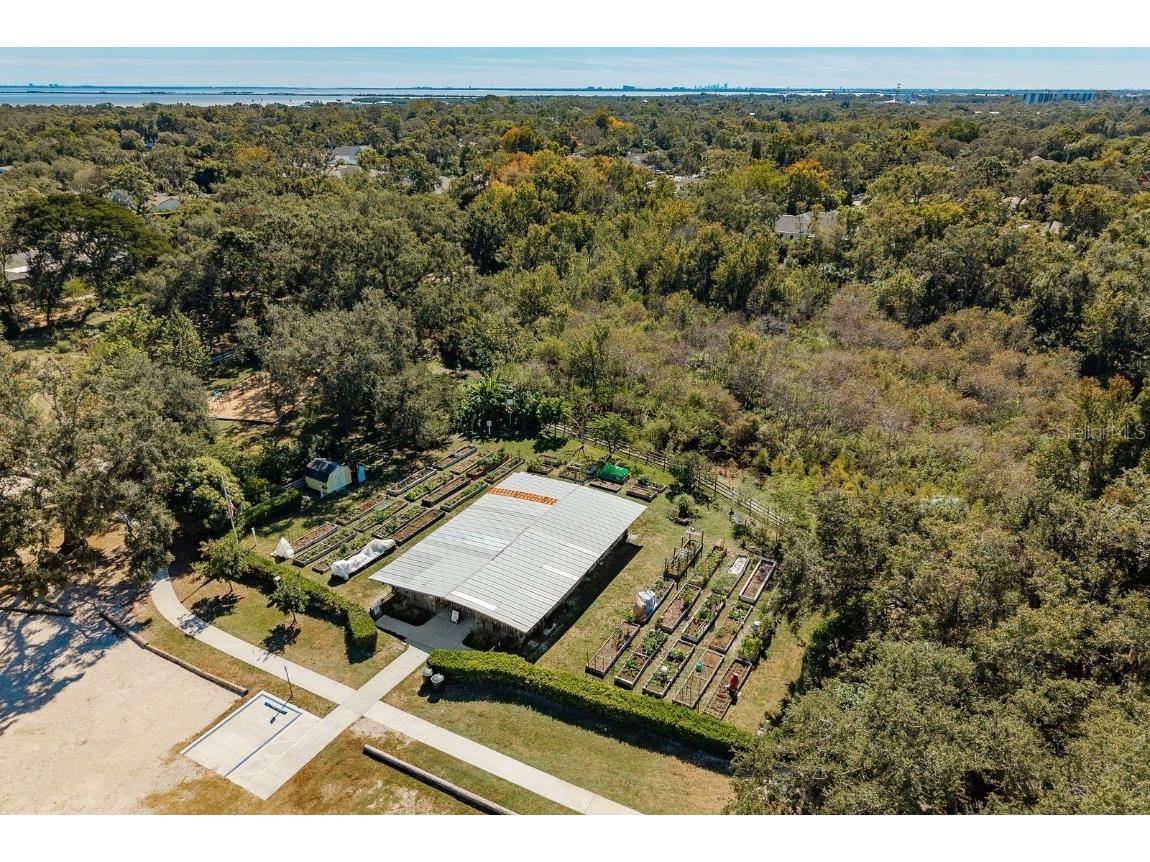 334 Los Prados Drive #421 Safety Harbor FL 34695 TB8433246 image42