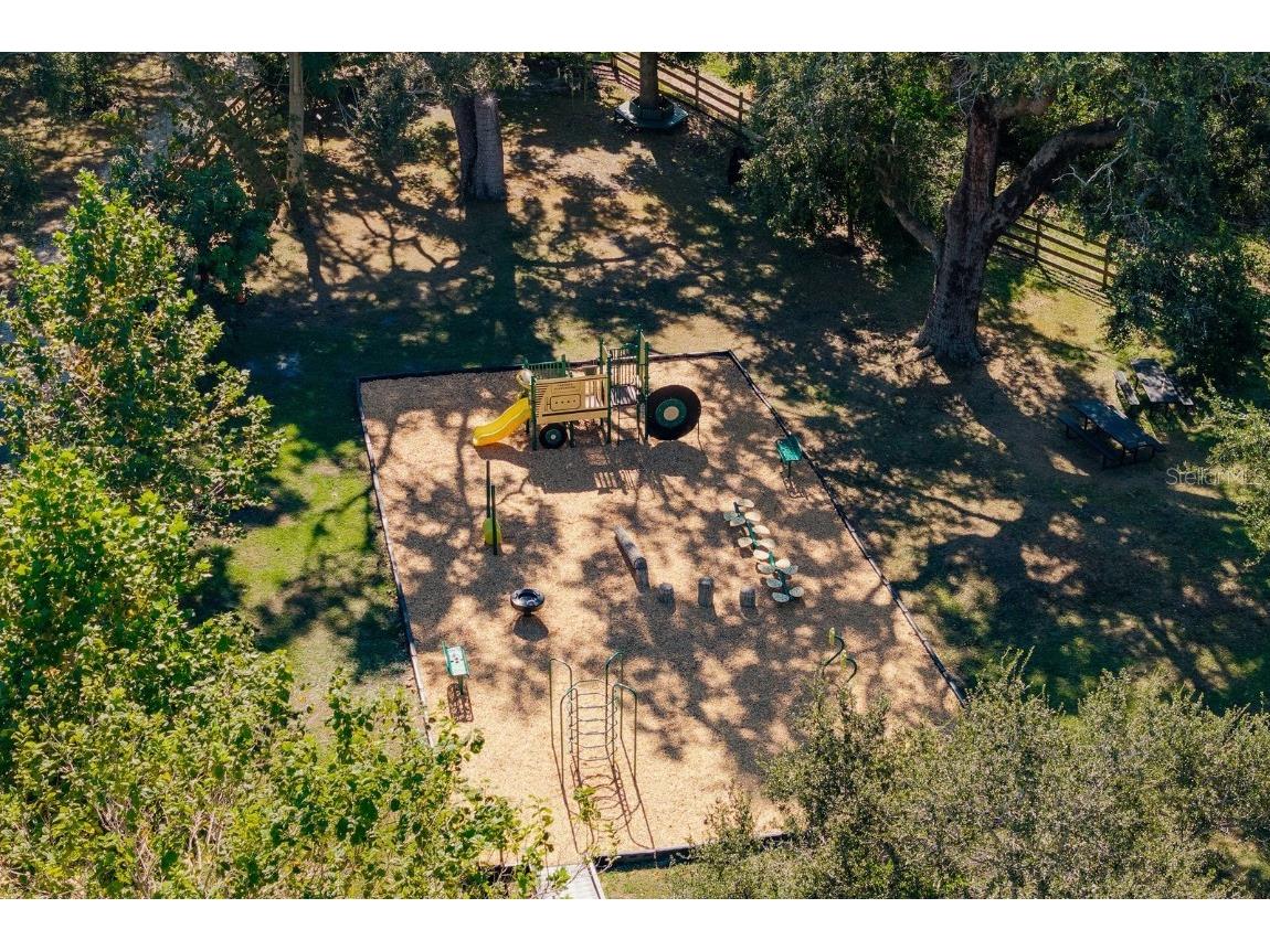 334 Los Prados Drive #421 Safety Harbor FL 34695 TB8433246 image43