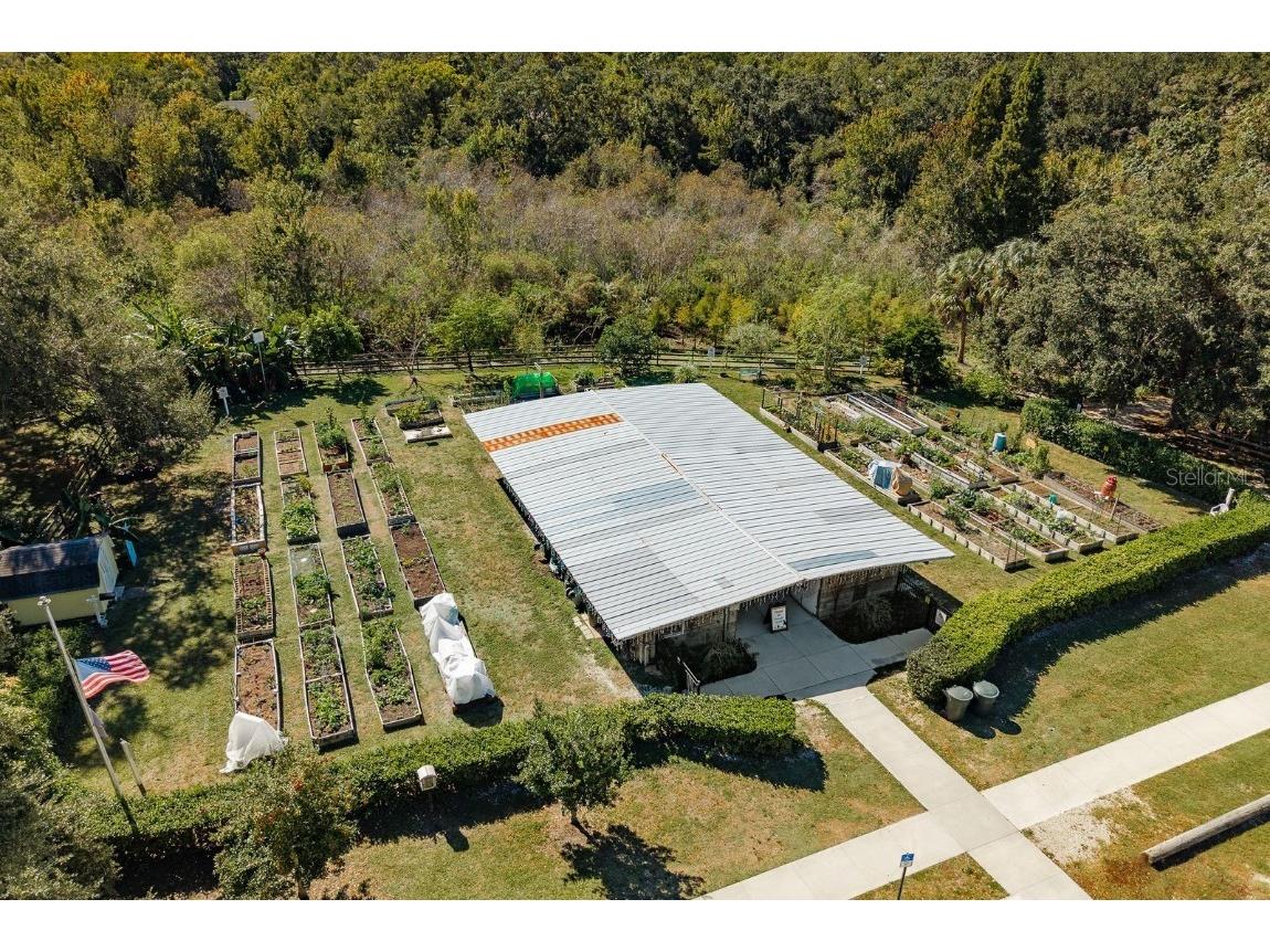 334 Los Prados Drive #421 Safety Harbor FL 34695 TB8433246 image44