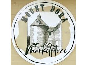 334 N Donnelly Street Mount Dora FL 32757 G5104451 image7