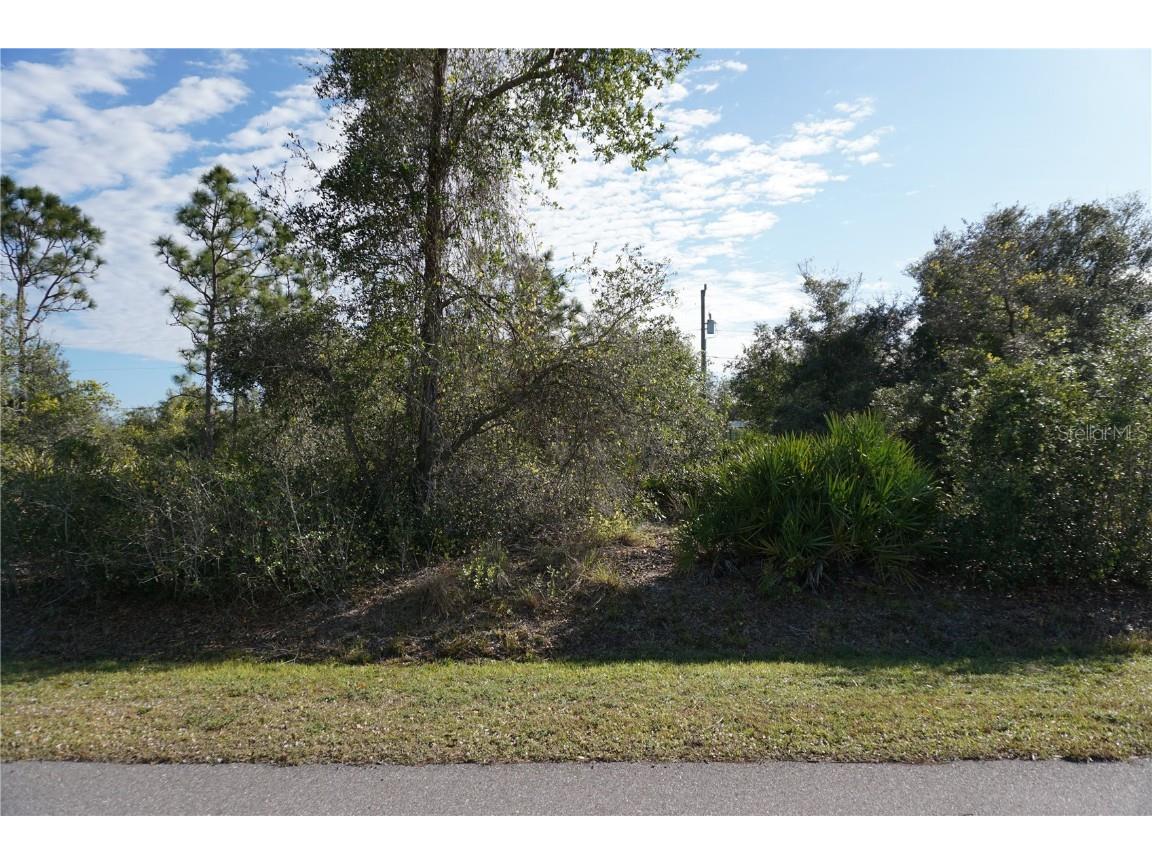 334 Omen Street Punta Gorda FL 33982 C7503444 image11