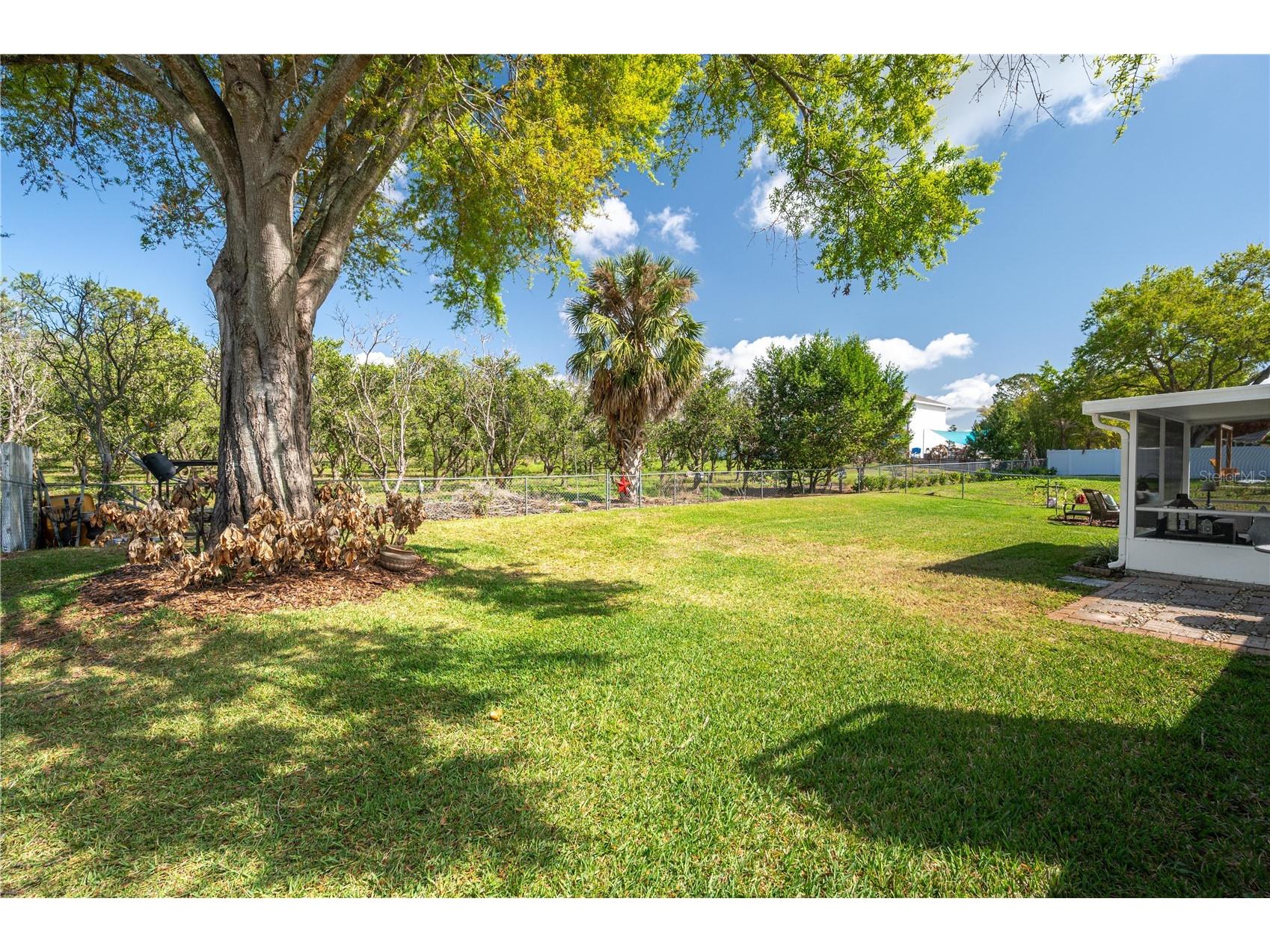 334 Palmview Circle N Auburndale FL 33823 P4938123 image40