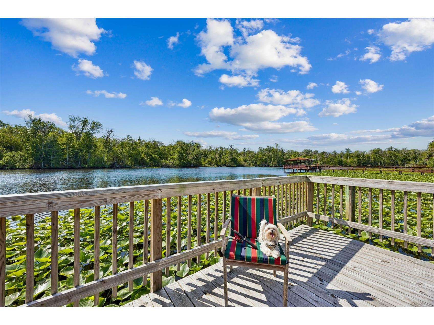 334 Paradise Circle Satsuma FL 32189 - DUNNS CREEK GC538860 image7
