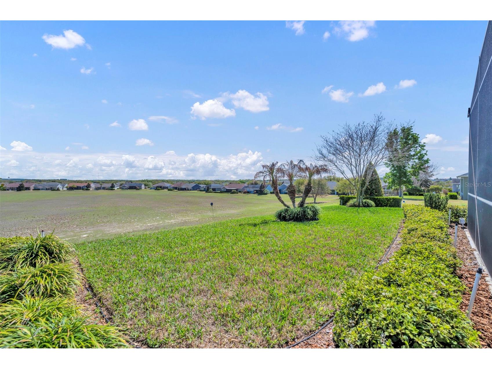334 Silver Maple Road Groveland FL 34736 G5109432 image42