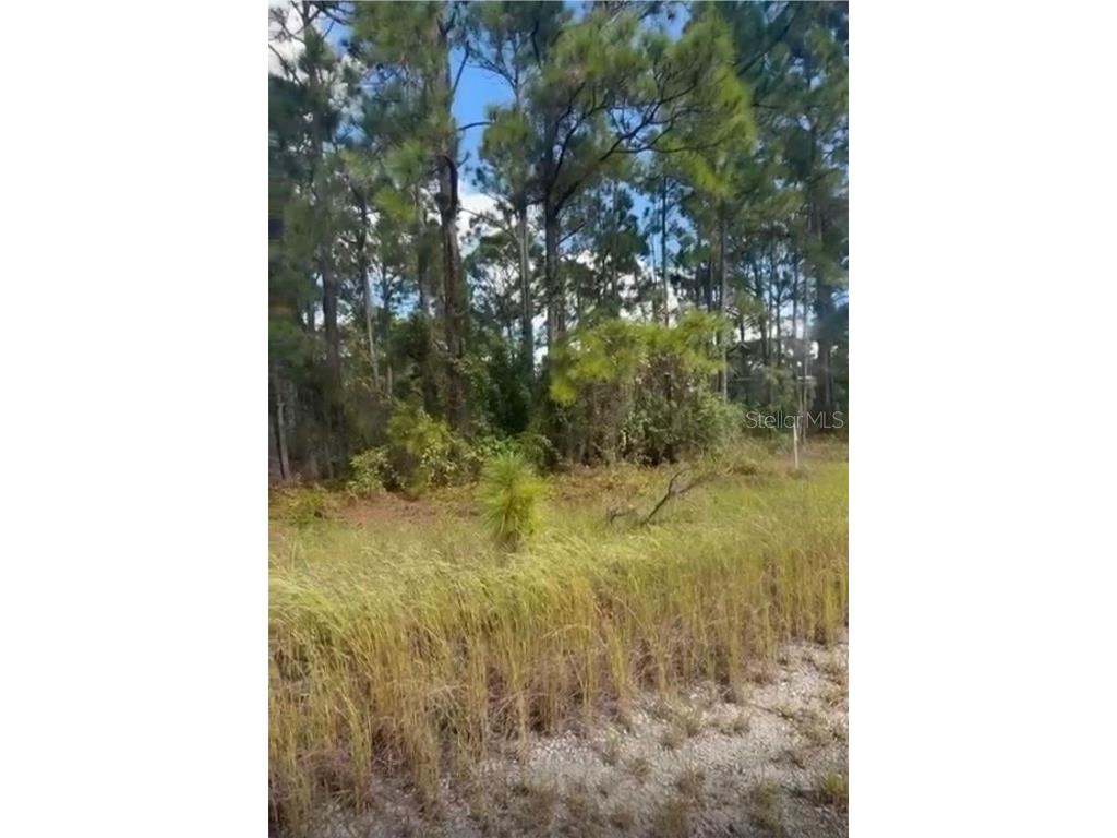 334 Sun Court Lake Placid FL 33852 O6371642 image1