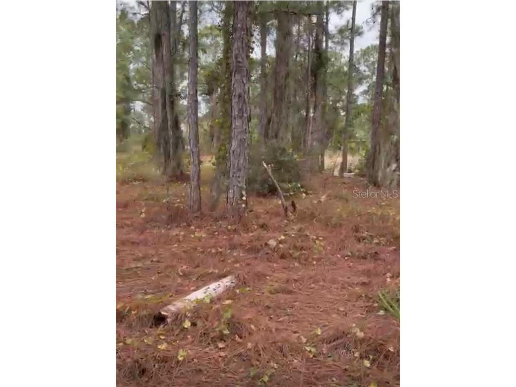 334 Sun Court Lake Placid FL 33852 O6371642 image10