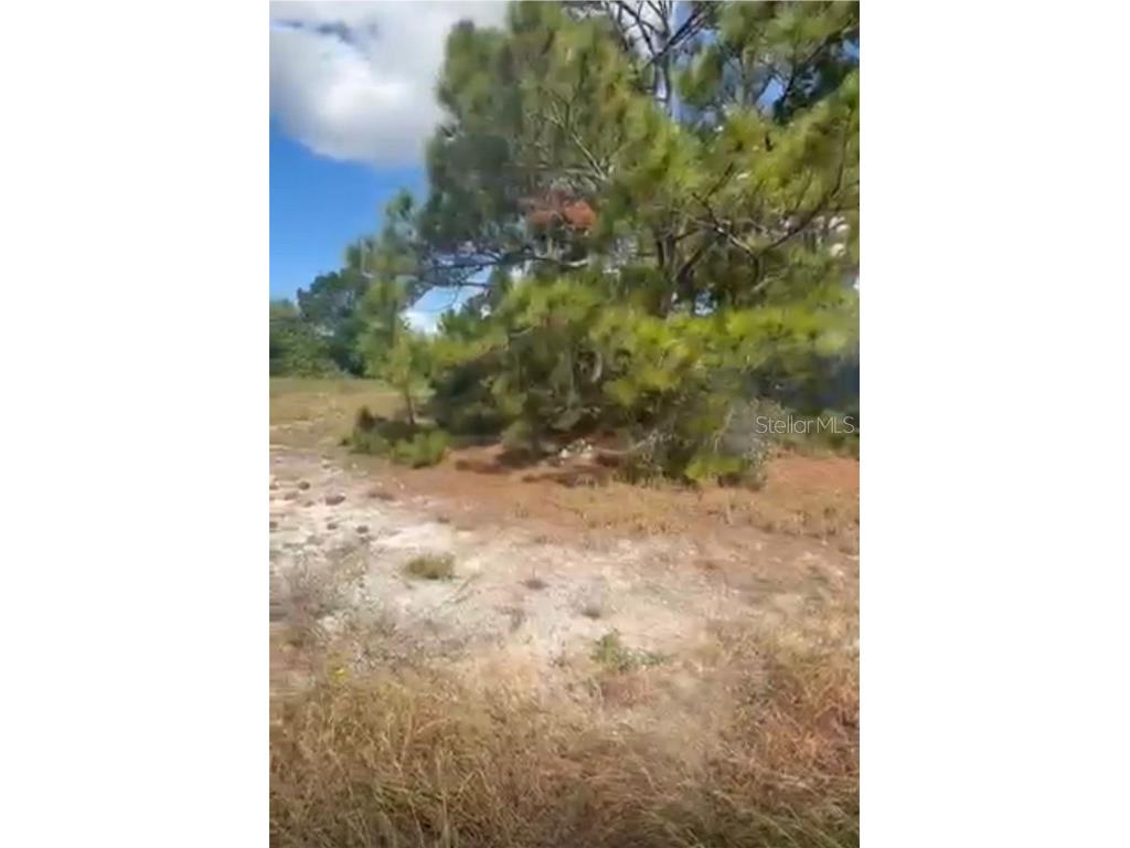 334 Sun Court Lake Placid FL 33852 O6371642 image2