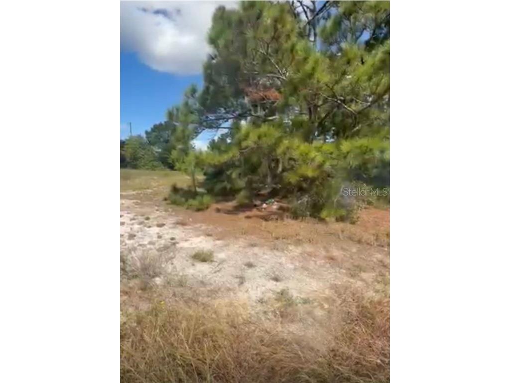 334 Sun Court Lake Placid FL 33852 O6371642 image4