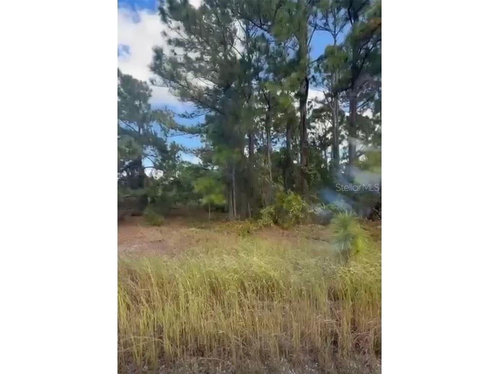 334 Sun Court Lake Placid FL 33852 O6371642 image5