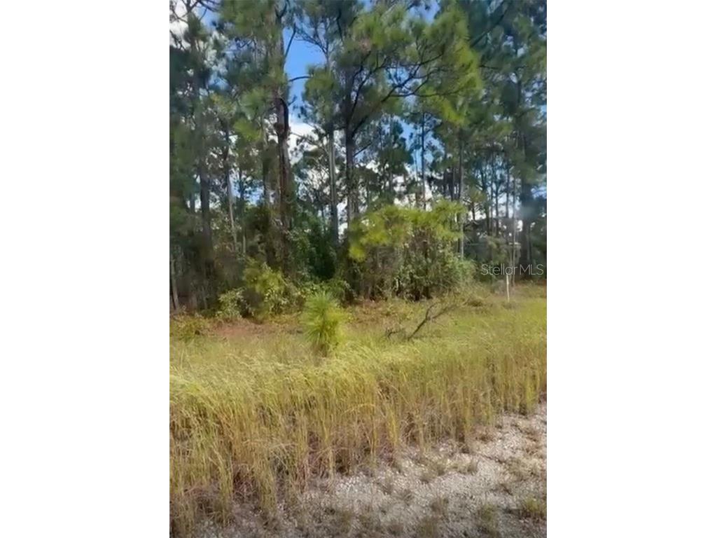 334 Sun Court Lake Placid FL 33852 O6371642 image6