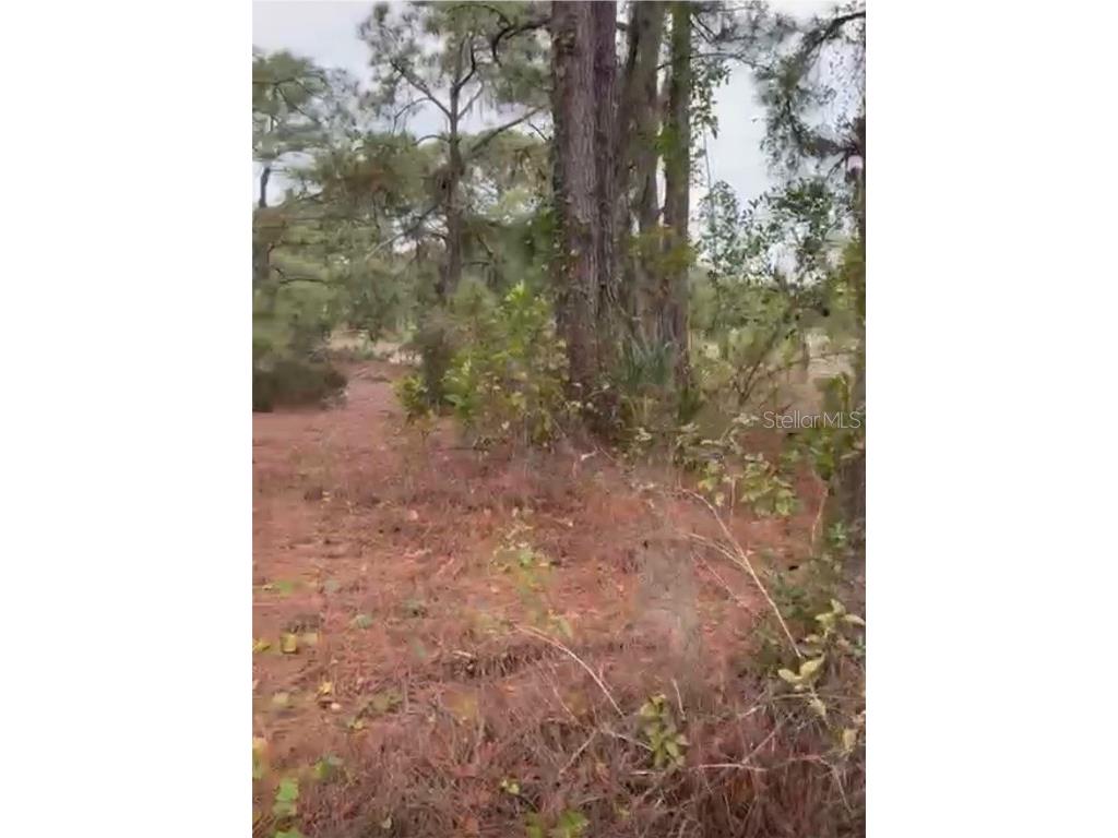 334 Sun Court Lake Placid FL 33852 O6371642 image7