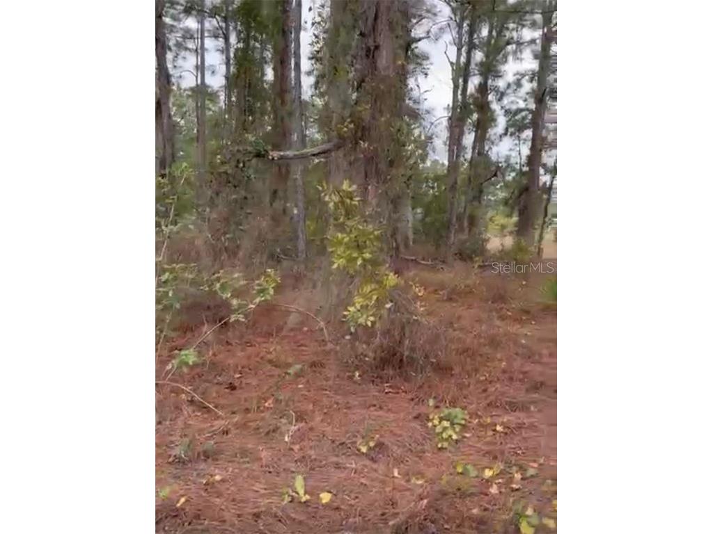 334 Sun Court Lake Placid FL 33852 O6371642 image8