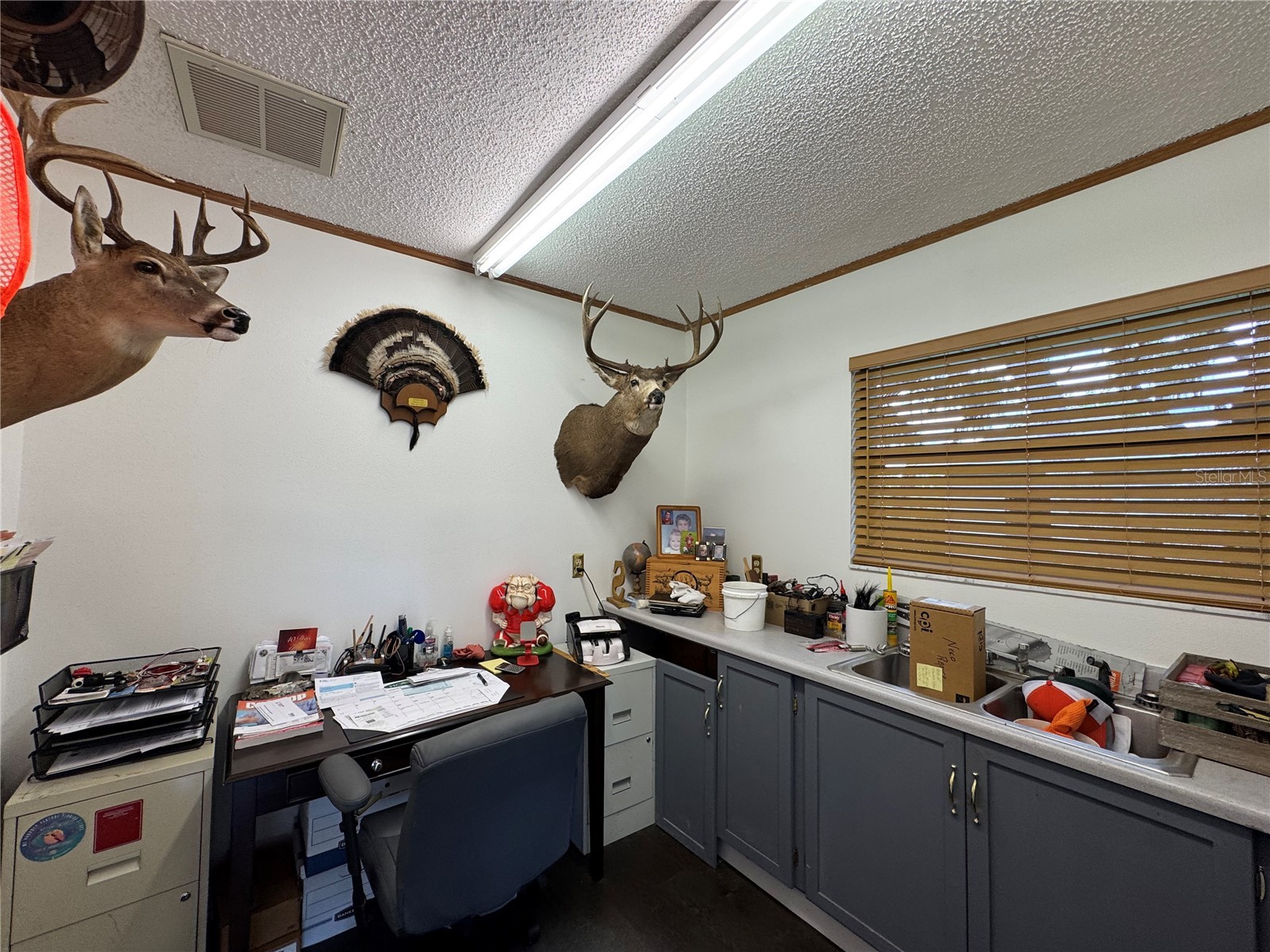 334 W F Street #FL Frostproof FL 33843 - CLINCH LAKE K4903459 image44