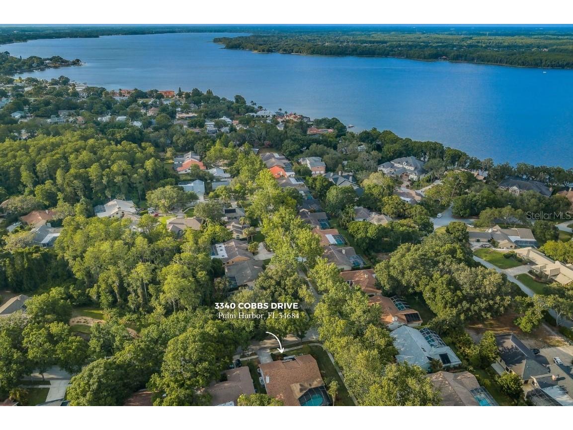 3340 Cobbs Drive Palm Harbor FL 34684 - LAKE TARPON U8200427 image1