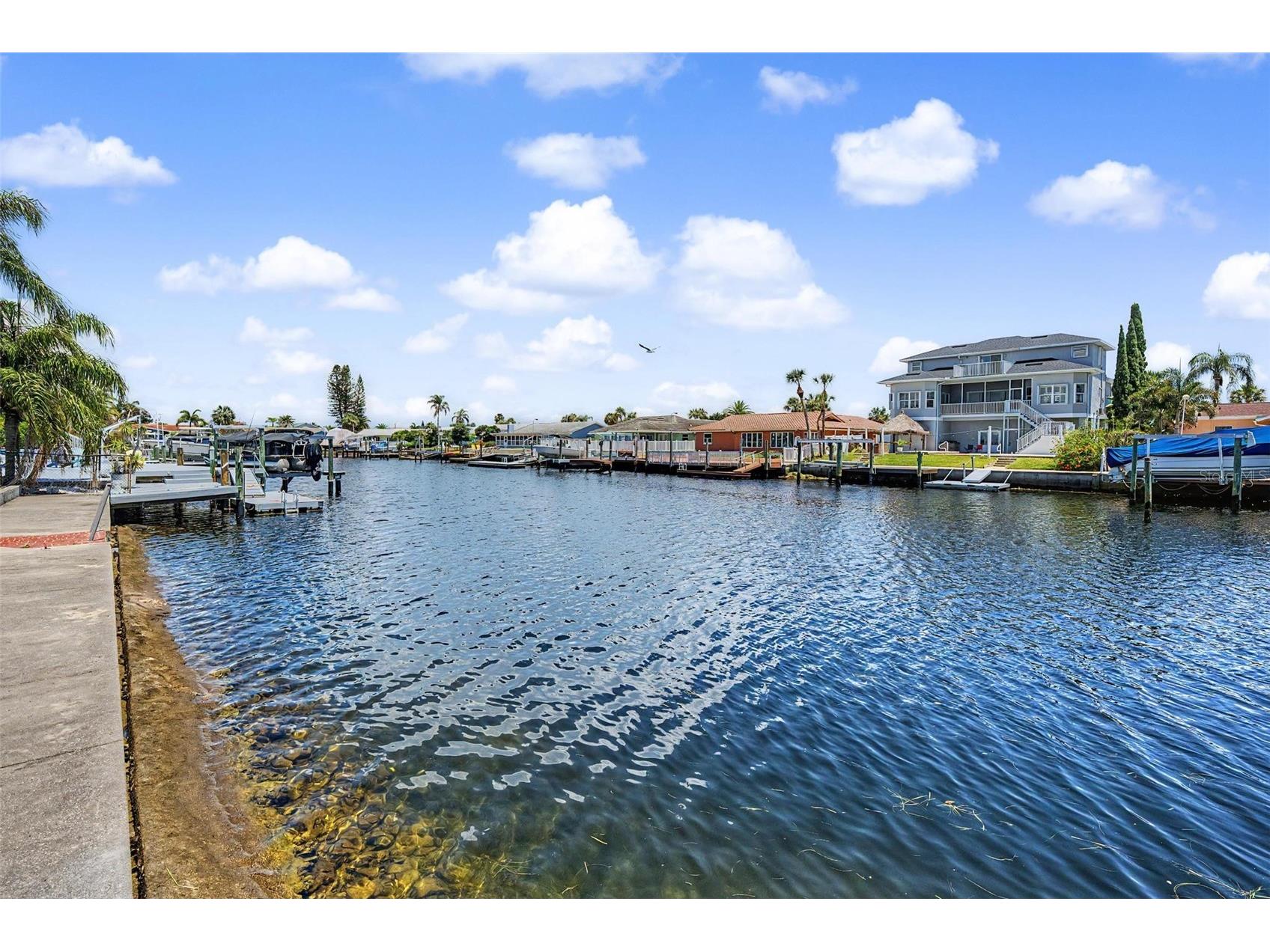 3340 Floramar Terrace New Port Richey FL 34652 TB8518535 image38