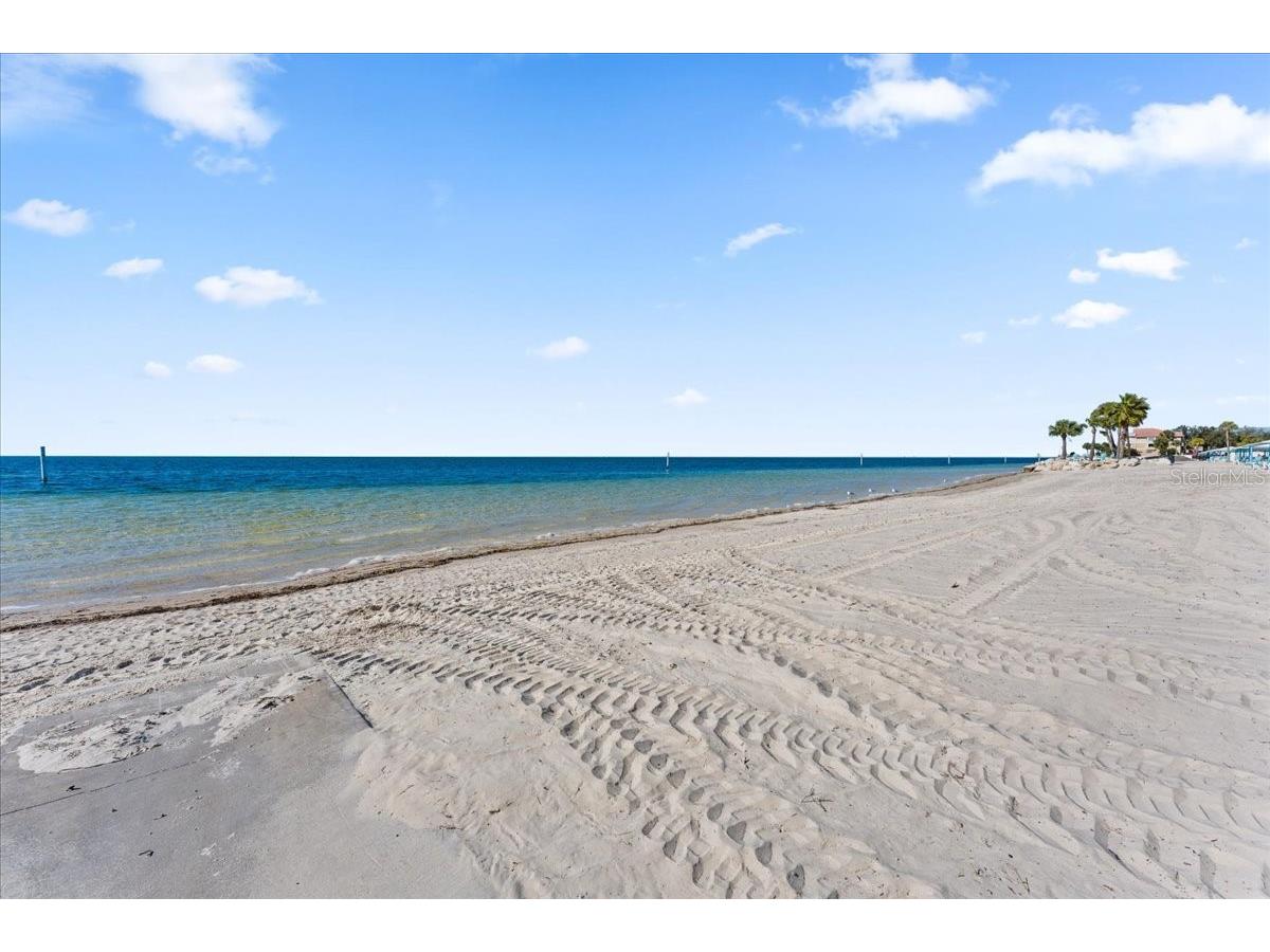 3340 Floramar Terrace New Port Richey FL 34652 TB8518535 image54