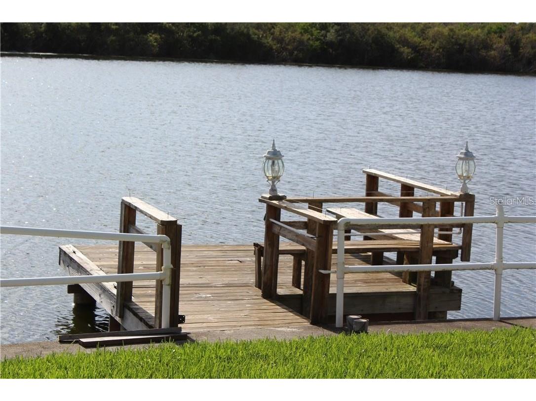 3340 Wilson Drive Holiday FL 34691 TB8457769 image56