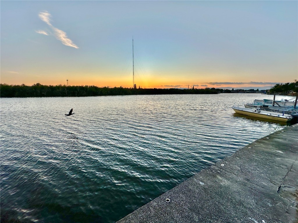 3340 Wilson Drive Holiday FL 34691 TB8457769 image58