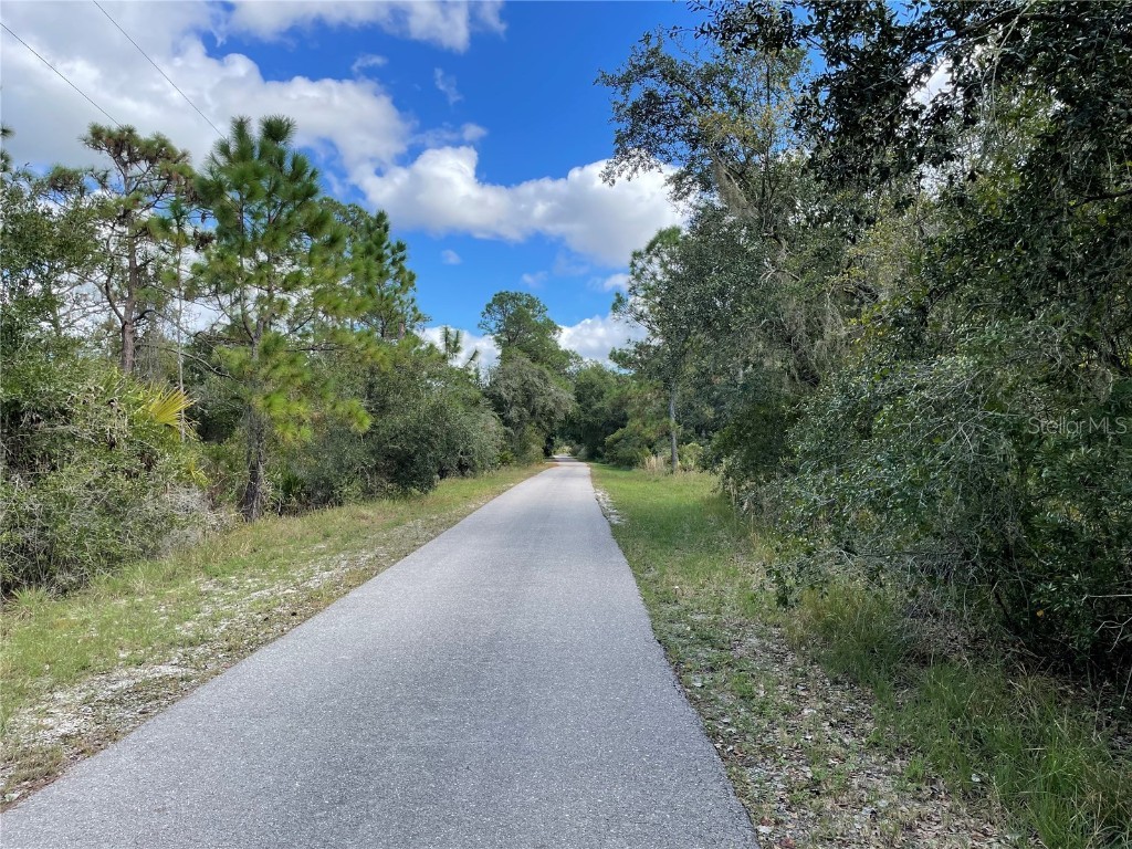 33401 Walnut Drive Punta Gorda FL 33982 C7452299 image1