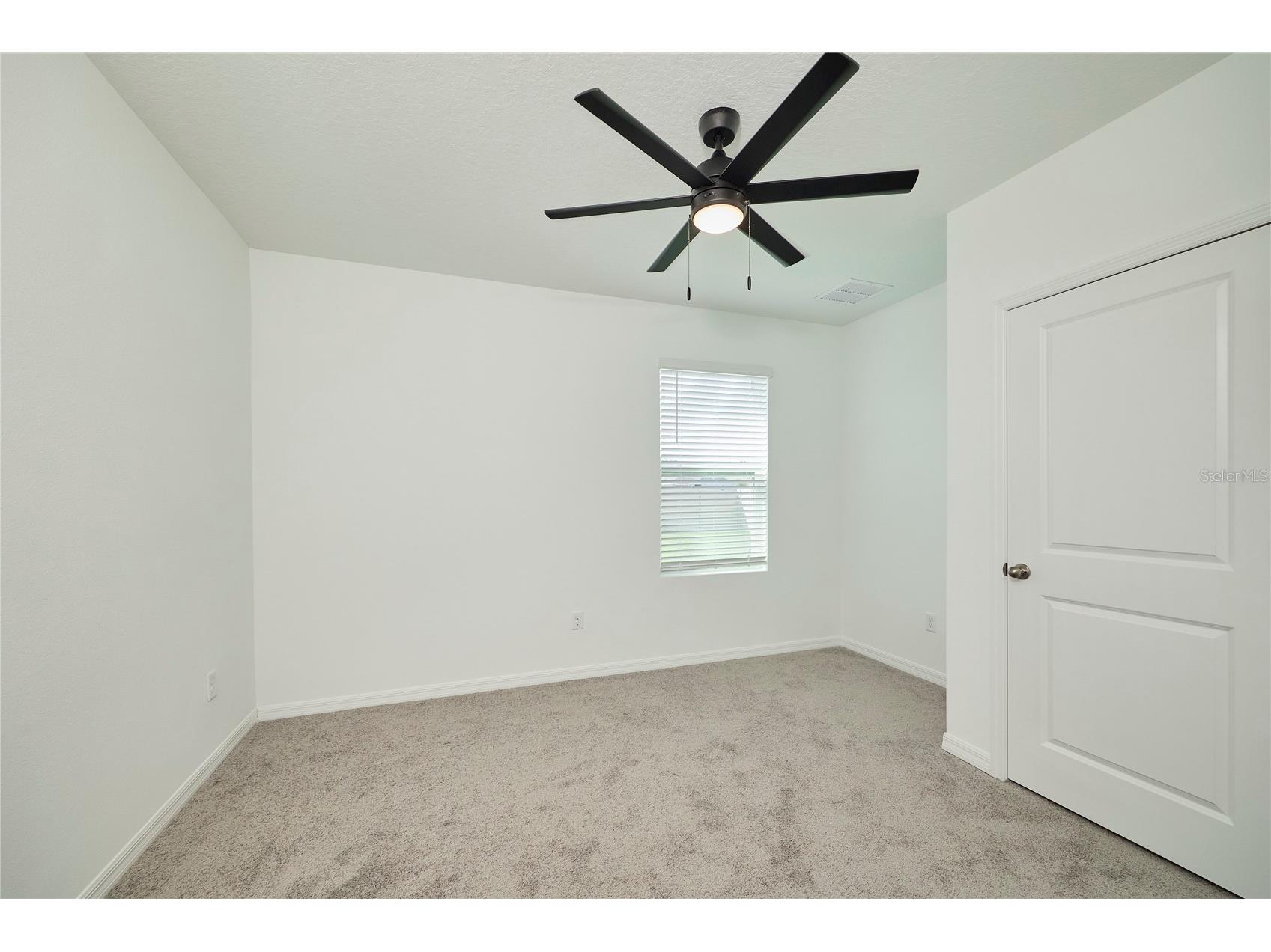 33405 Darley Dale Trl Wesley Chapel FL 33545 TB8520815 image22