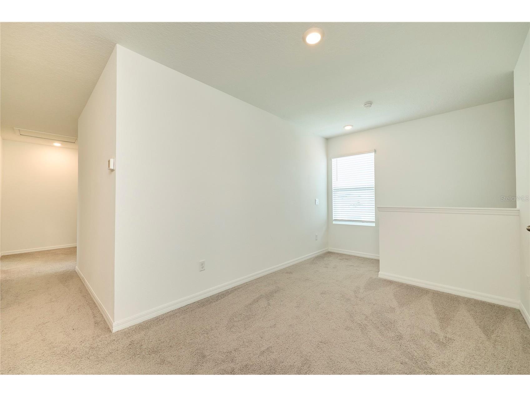 33405 Darley Dale Trl Wesley Chapel FL 33545 TB8520815 image32