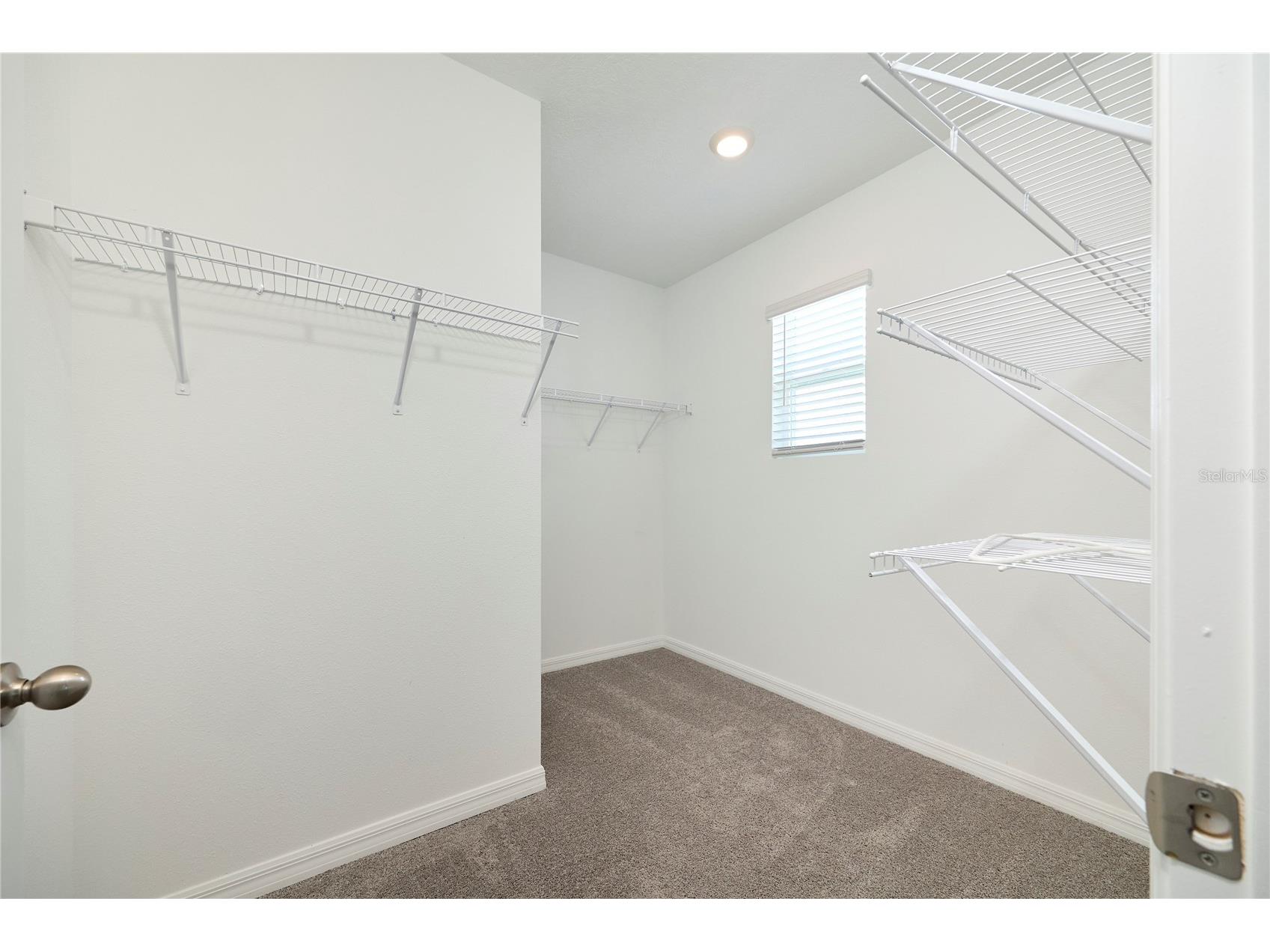 33405 Darley Dale Trl Wesley Chapel FL 33545 TB8520815 image43