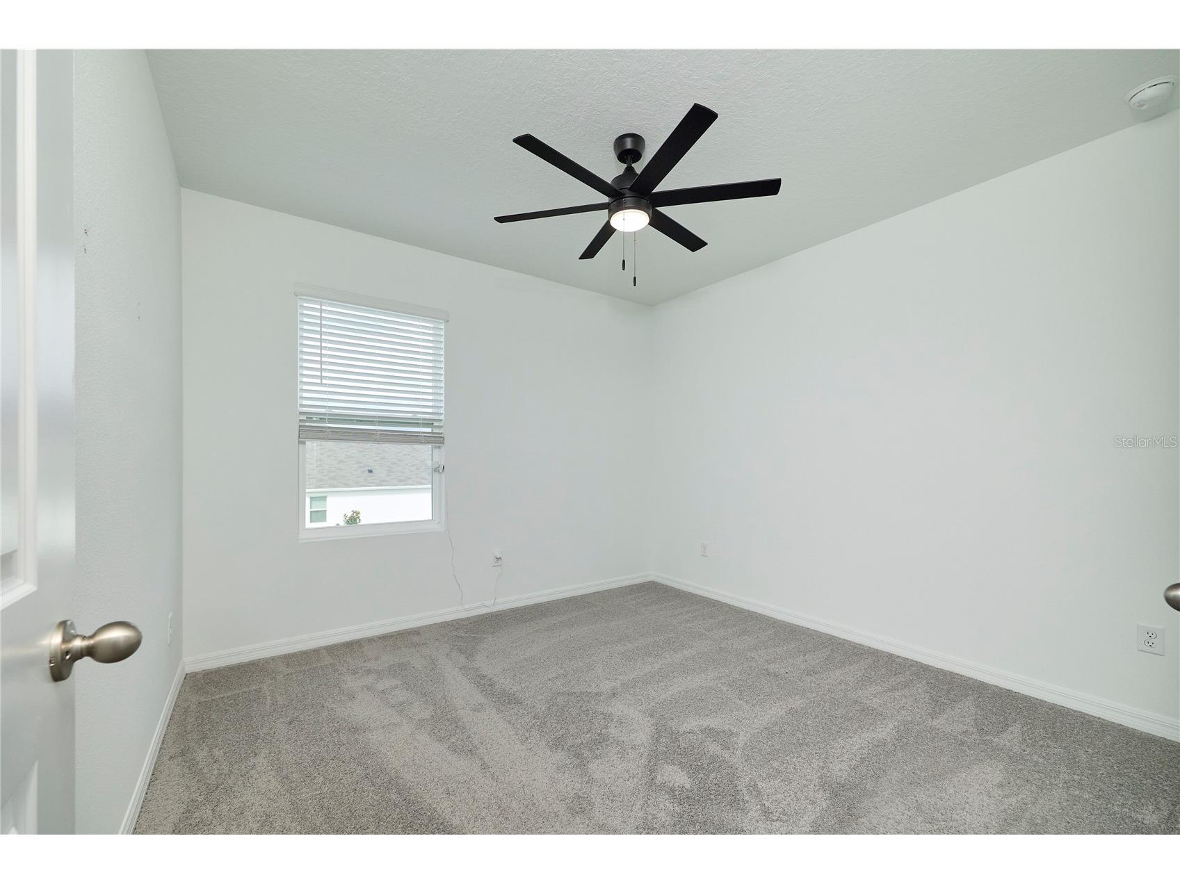 33405 Darley Dale Trl Wesley Chapel FL 33545 TB8520815 image55