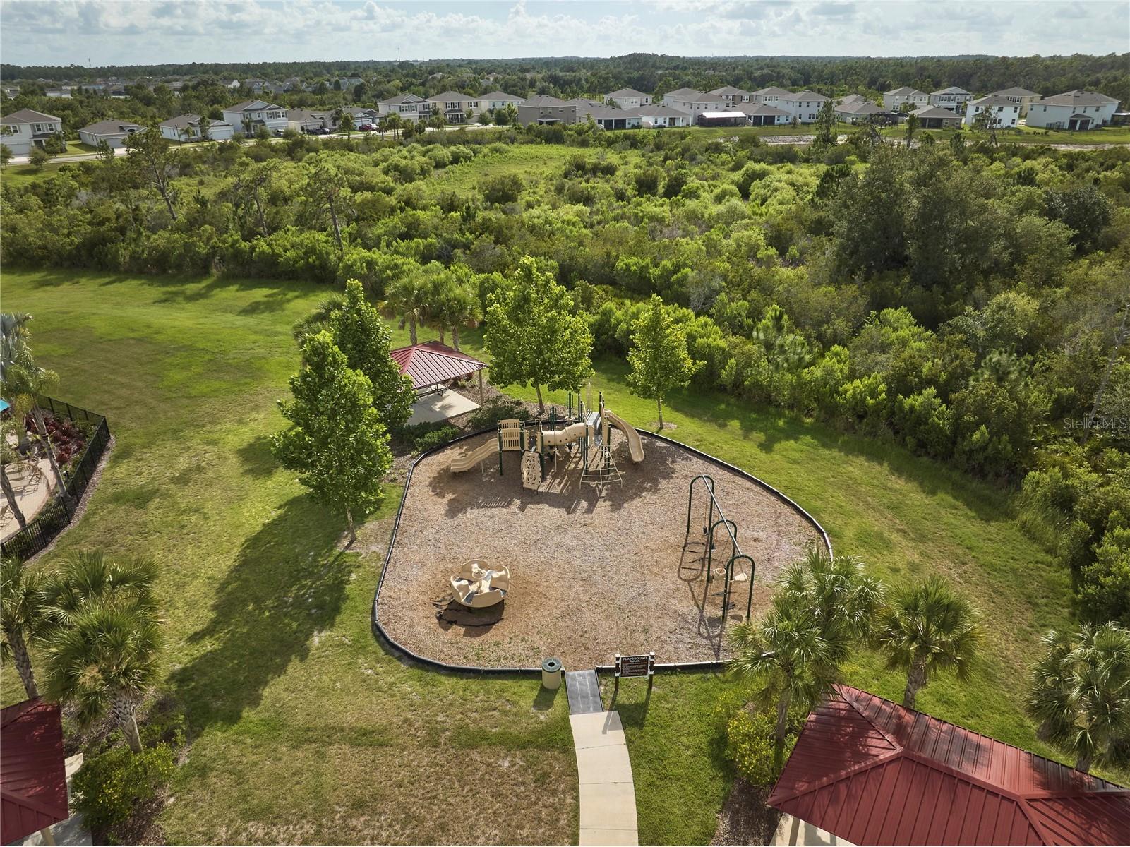 33405 Darley Dale Trl Wesley Chapel FL 33545 TB8520815 image69