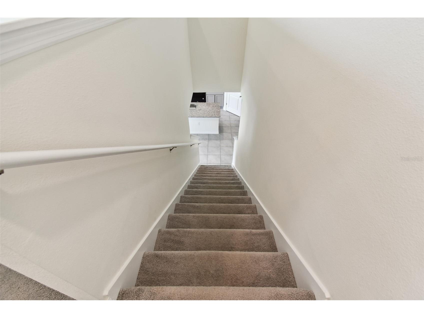 33405 Hamilton Hill Lane Wesley Chapel FL 33545 TB8497065 image21