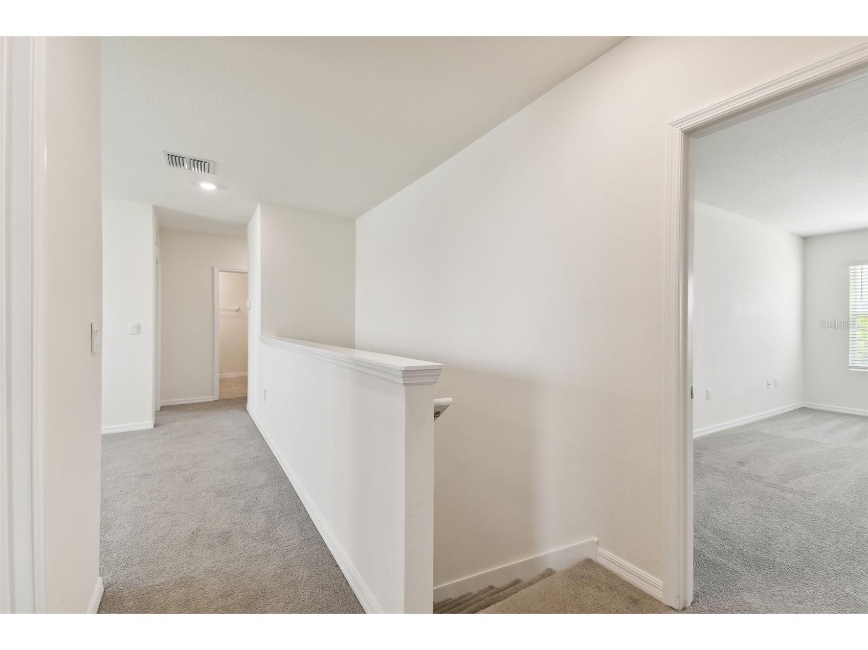 33405 Hamilton Hill Lane Wesley Chapel FL 33545 TB8497065 image23