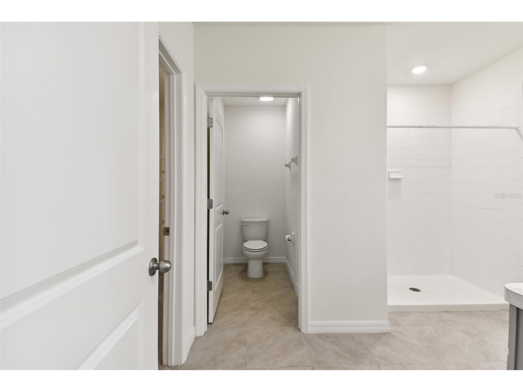 33405 Hamilton Hill Lane Wesley Chapel FL 33545 TB8497065 image28
