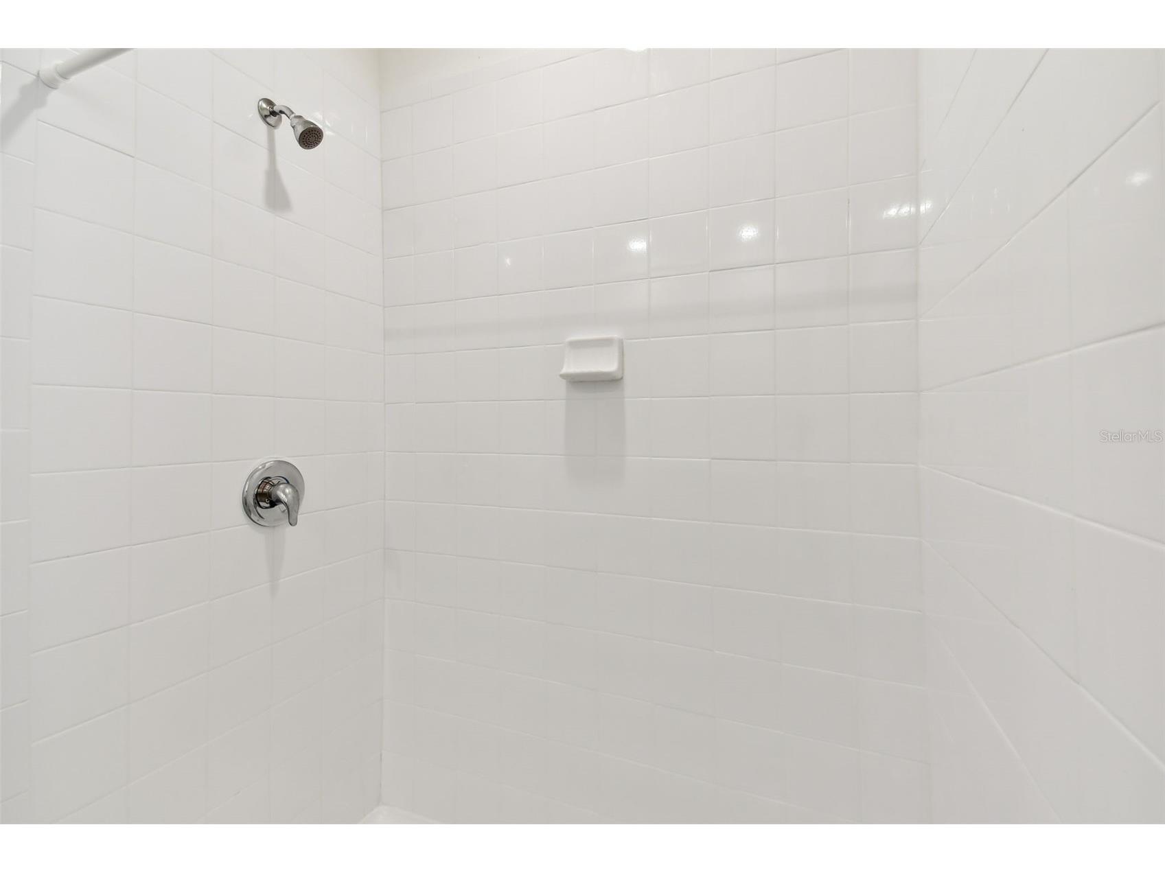 33405 Hamilton Hill Lane Wesley Chapel FL 33545 TB8497065 image33