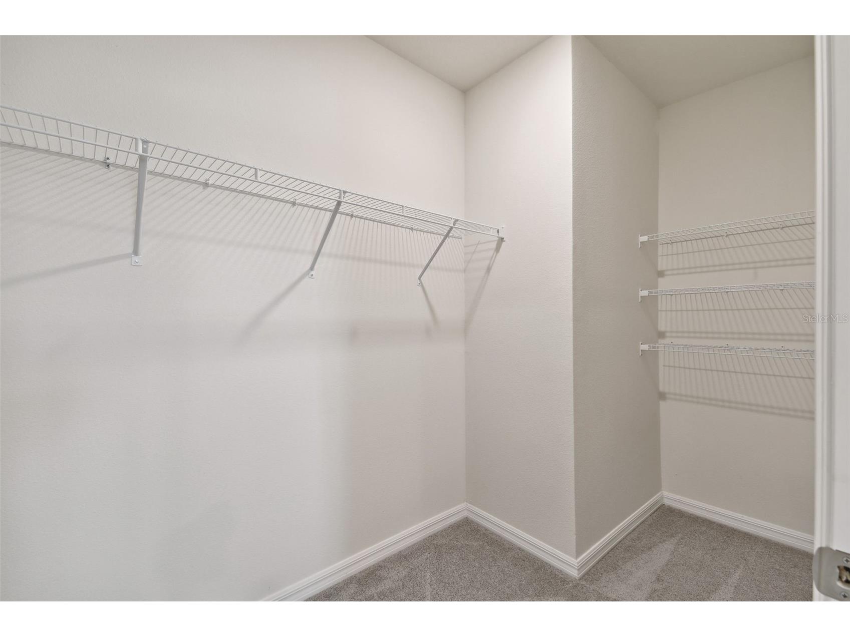 33405 Hamilton Hill Lane Wesley Chapel FL 33545 TB8497065 image35